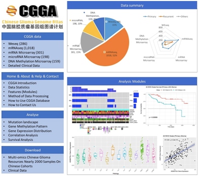 CGGA数据库发布2000例脑胶质瘤组学数据 中国数据库面向全球研究者免费开放