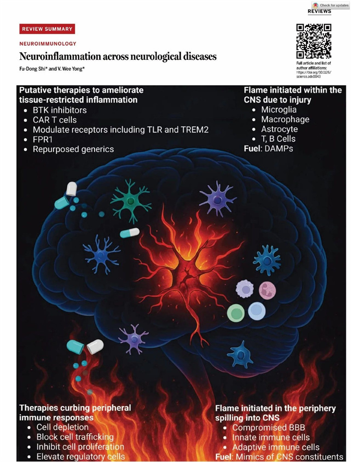 Science发表施福东等学者综述文章 阐述神经炎症通过独特病理机制加剧神经系统疾病损伤进程